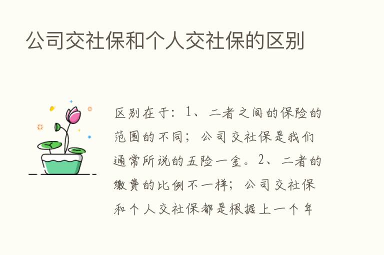 公司交社保和个人交社保的区别