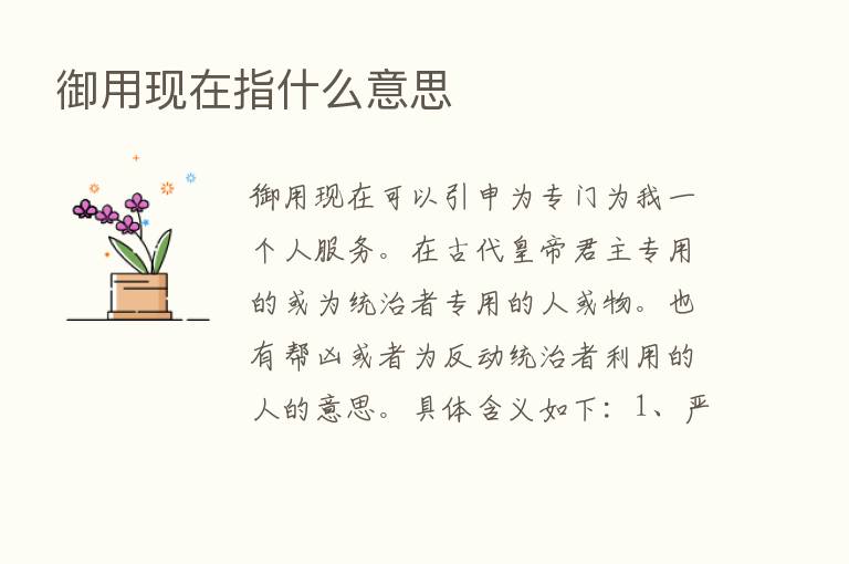 御用现在指什么意思