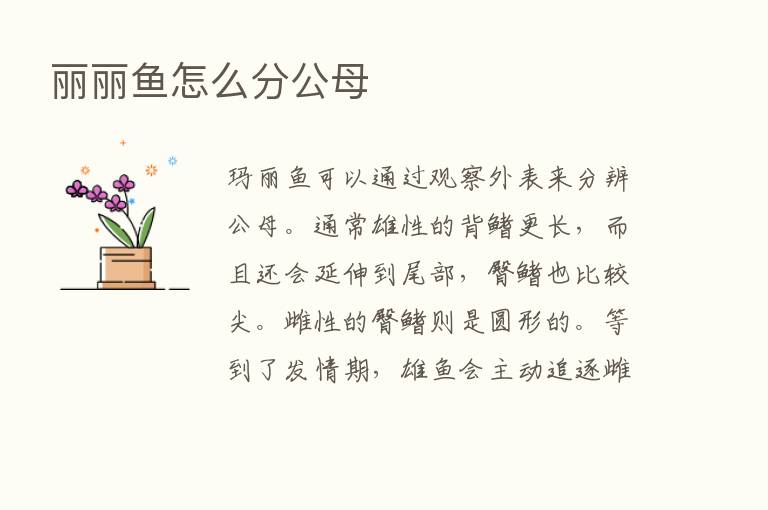 丽丽鱼怎么分公母