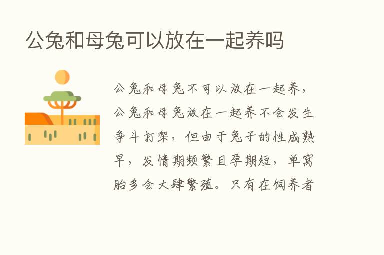 公兔和母兔可以放在一起养吗