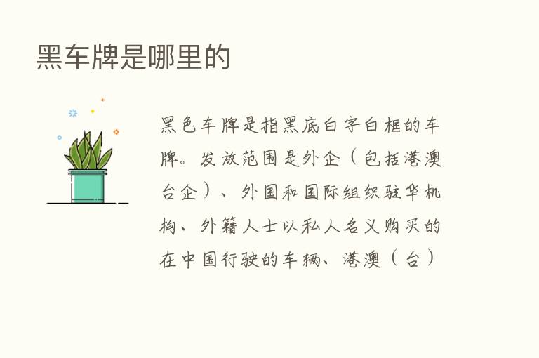 黑车牌是哪里的