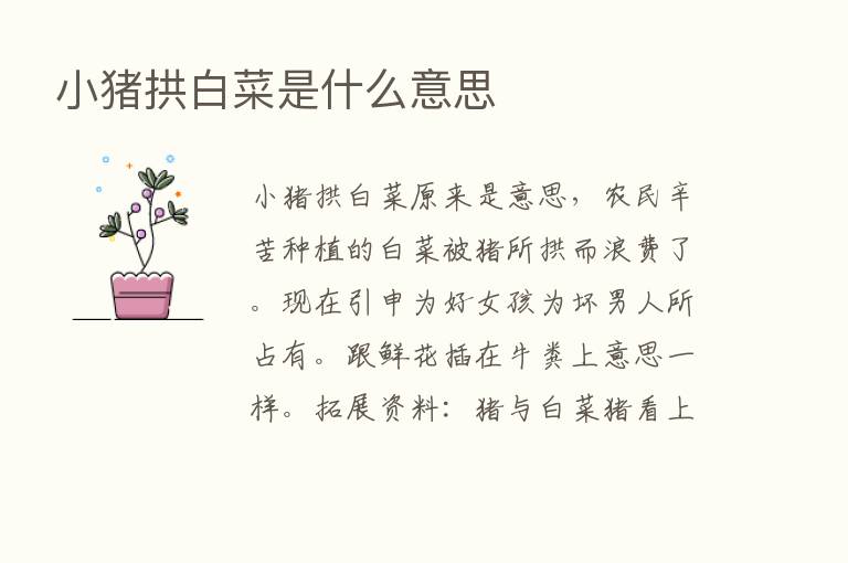 小猪拱白菜是什么意思