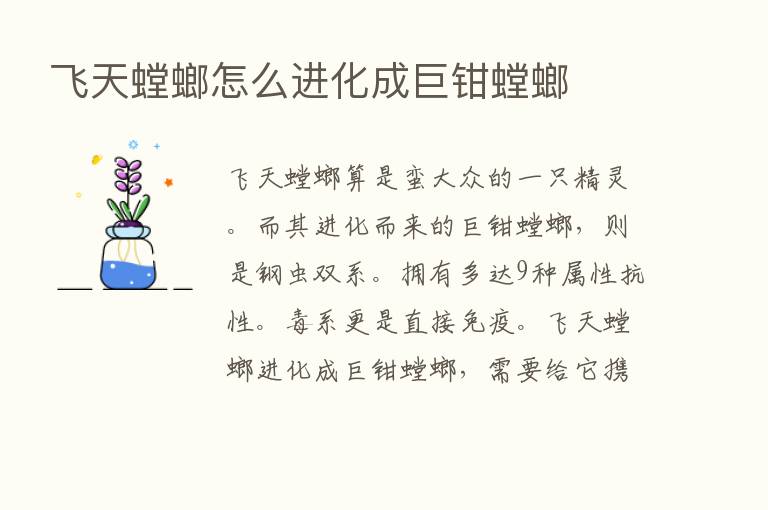 飞天螳螂怎么进化成巨钳螳螂