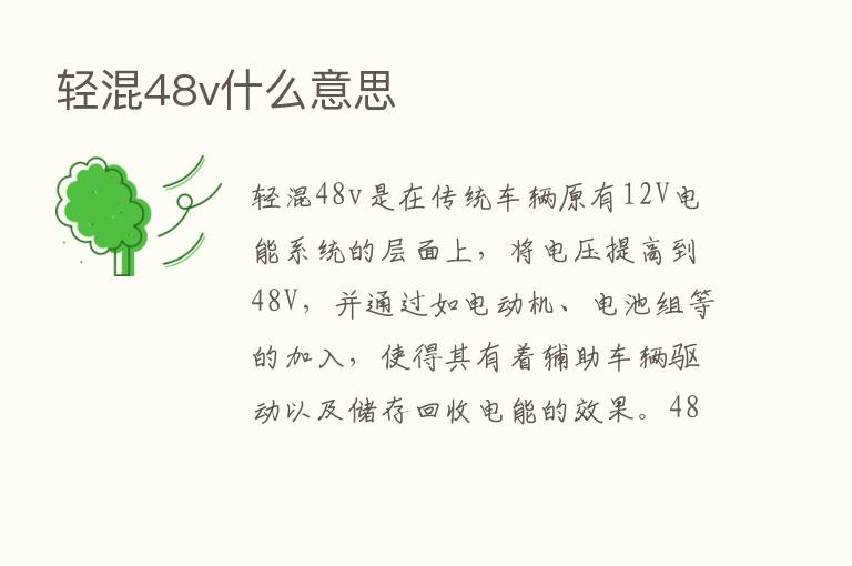 轻混48v什么意思