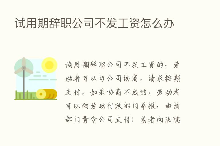 试用期辞职公司不发工资怎么办