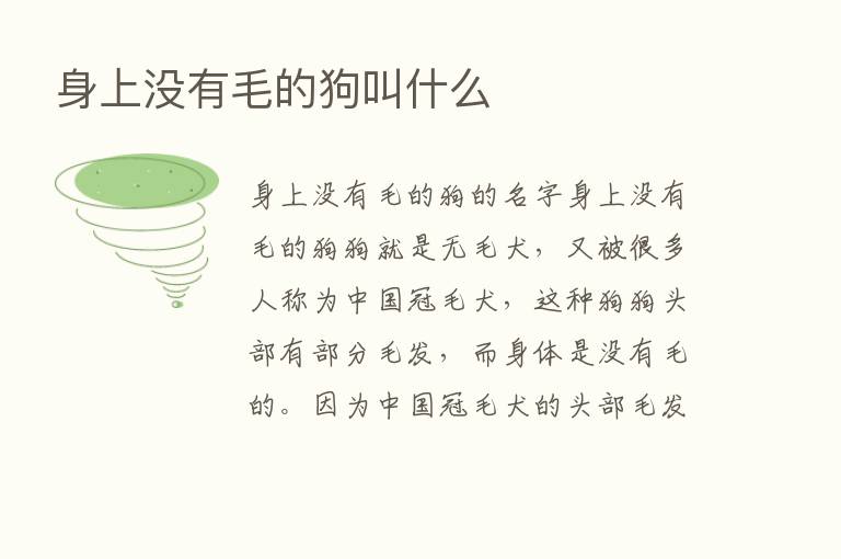 身上没有毛的狗叫什么