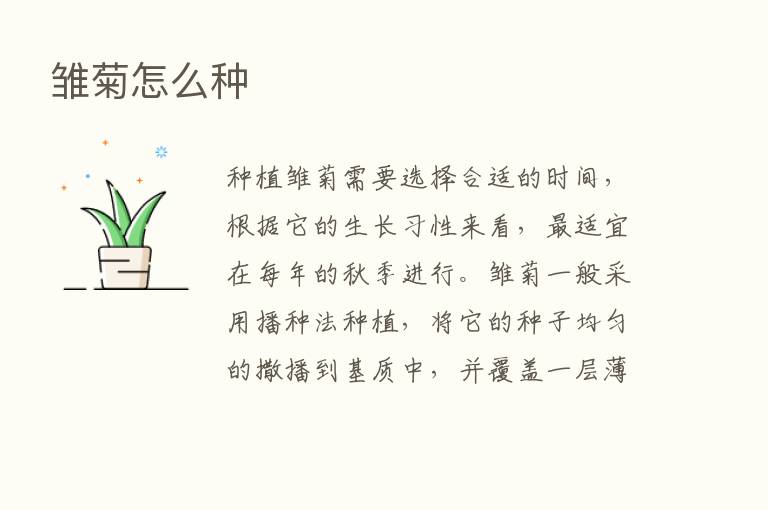 雏菊怎么种