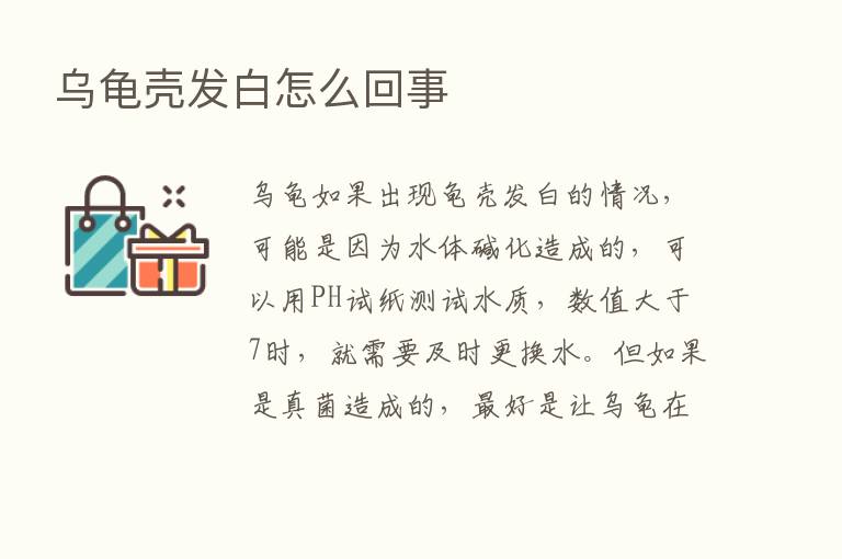 乌龟壳发白怎么回事