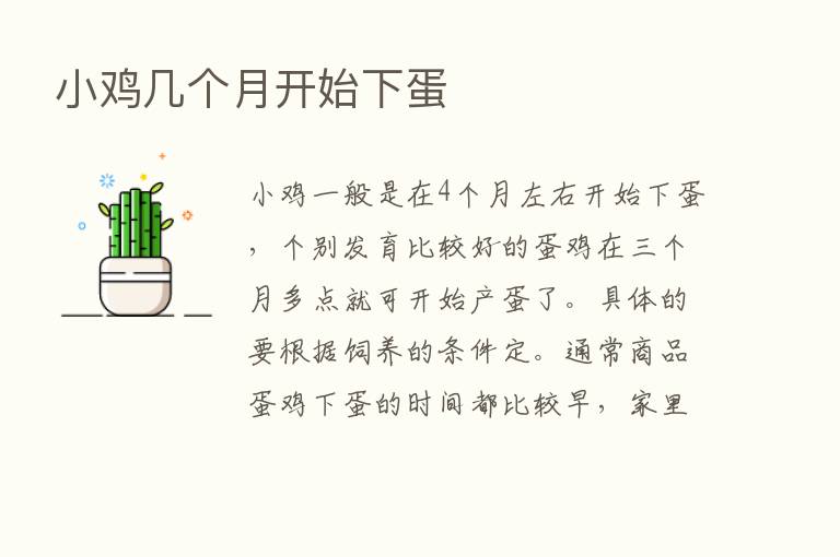 小鸡几个月开始下蛋