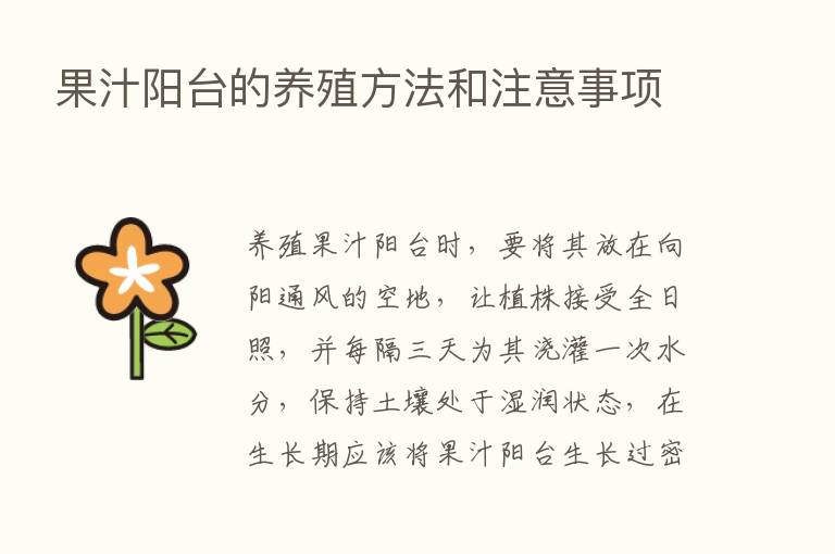 果汁阳台的养殖方法和注意事项