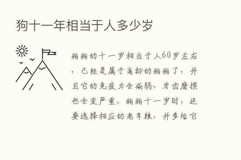 狗十一年相当于人多少岁