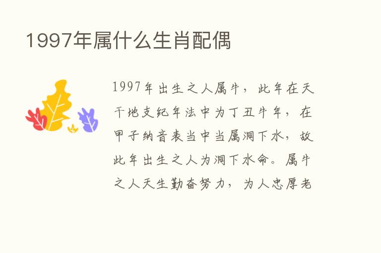 1997年属什么生肖配偶