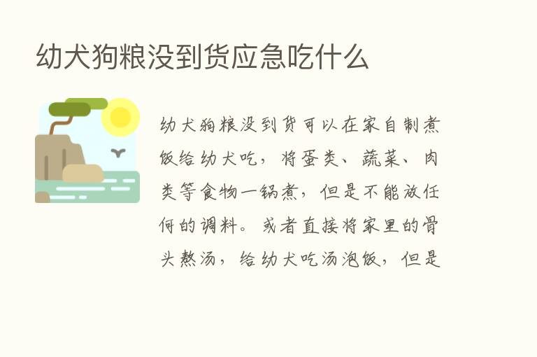 幼犬狗粮没到货应急吃什么