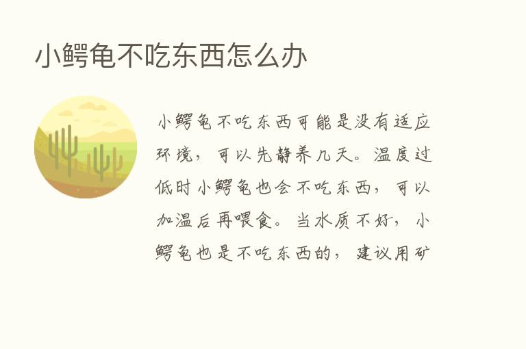 小鳄龟不吃东西怎么办