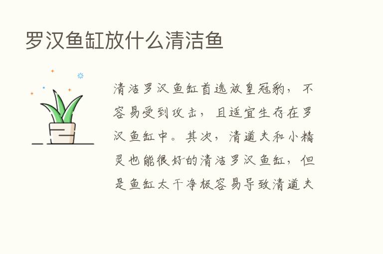 罗汉鱼缸放什么清洁鱼