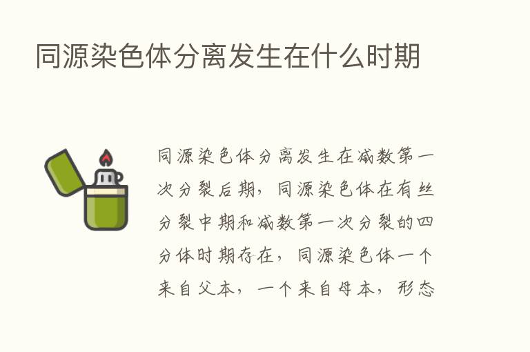 同源染色体分离发生在什么时期