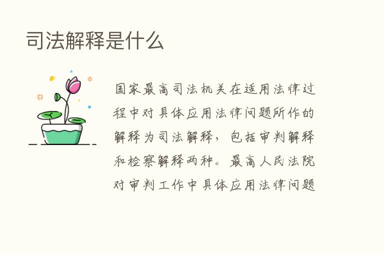 司法解释是什么