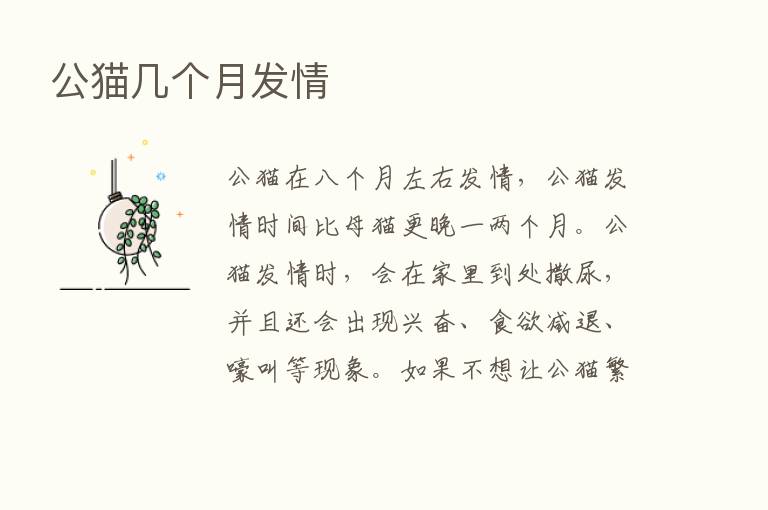 公猫几个月发情