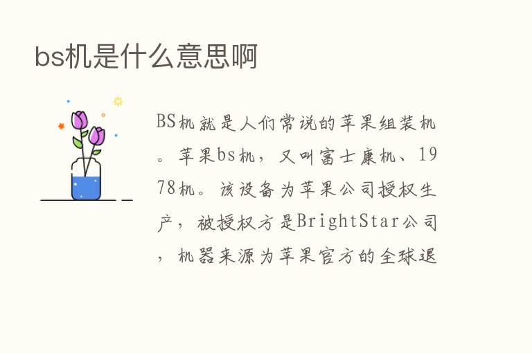 bs机是什么意思啊