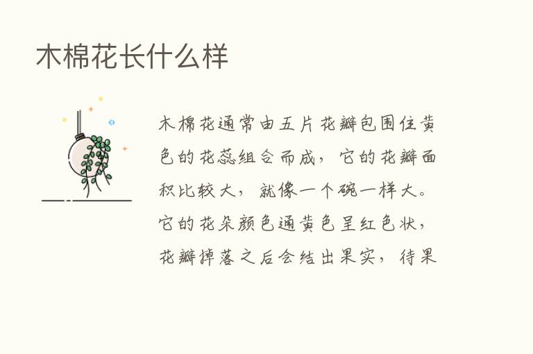 木棉花长什么样