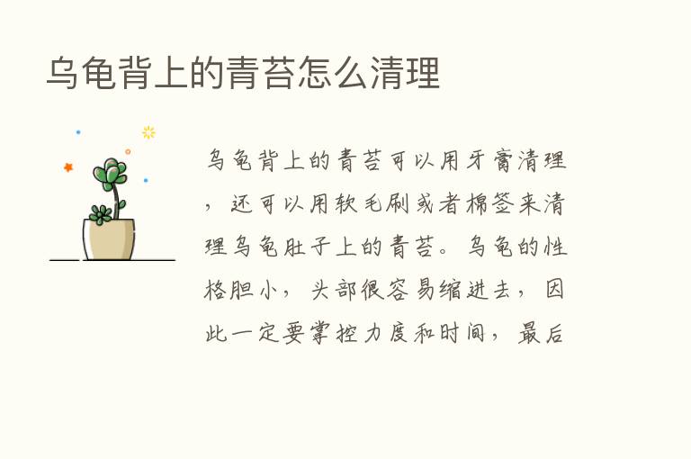 乌龟背上的青苔怎么清理