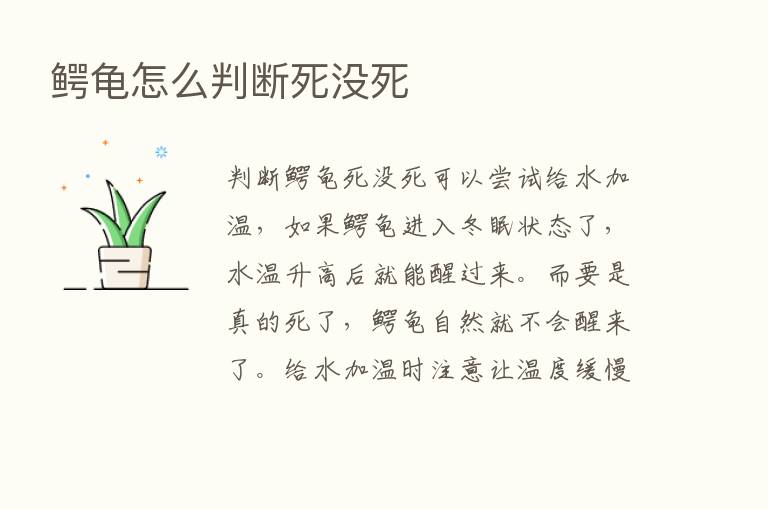 鳄龟怎么判断死没死