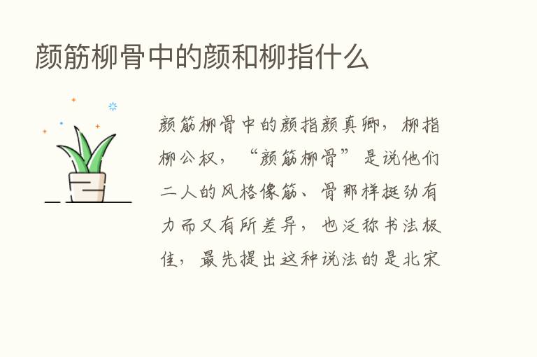 颜筋柳骨中的颜和柳指什么