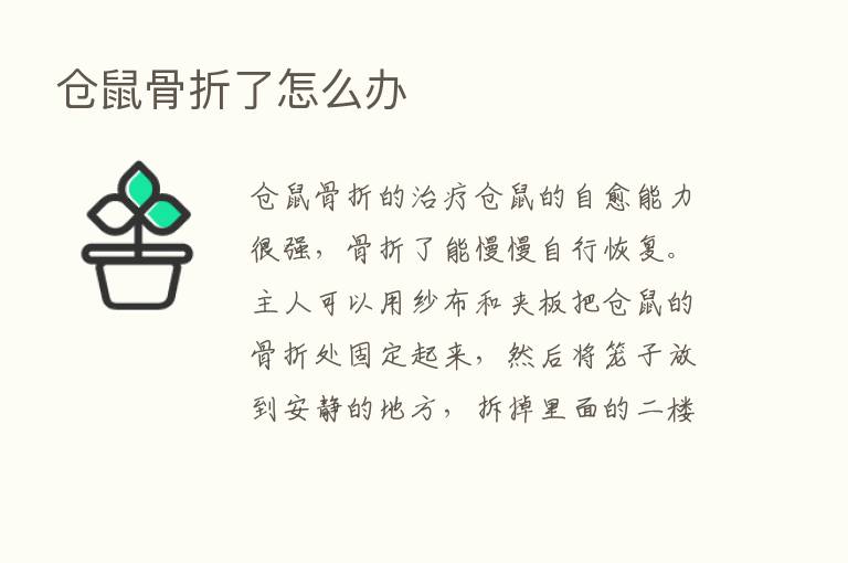 仓鼠骨折了怎么办