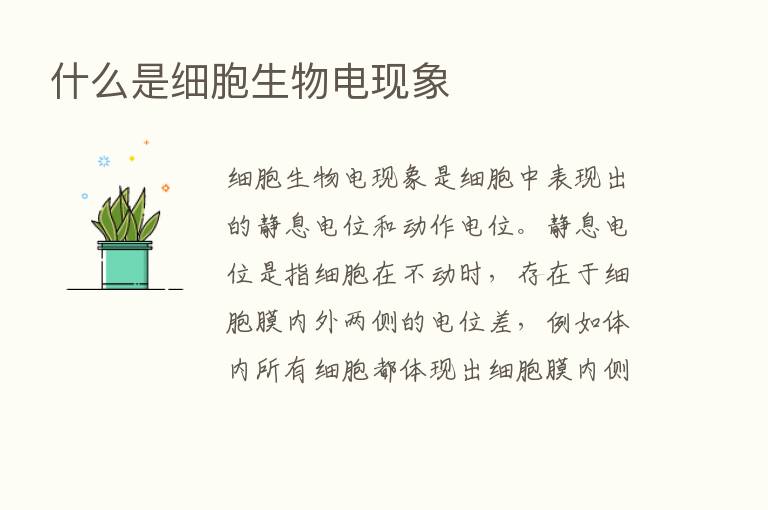 什么是细胞生物电现象