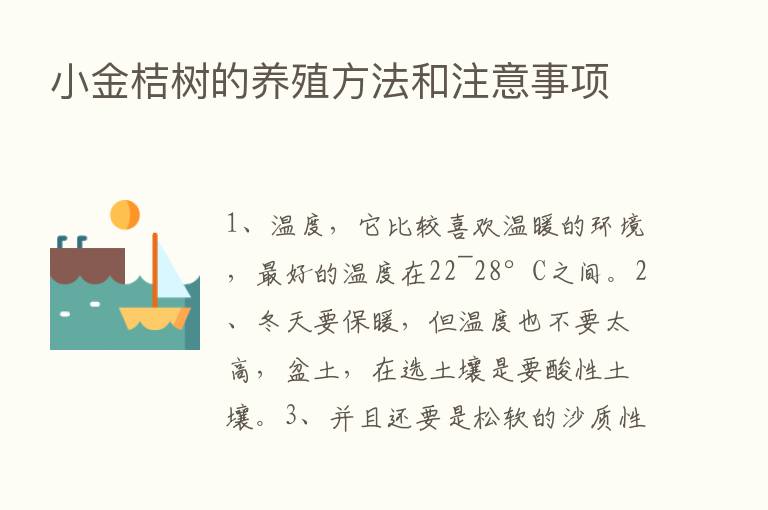 小金桔树的养殖方法和注意事项