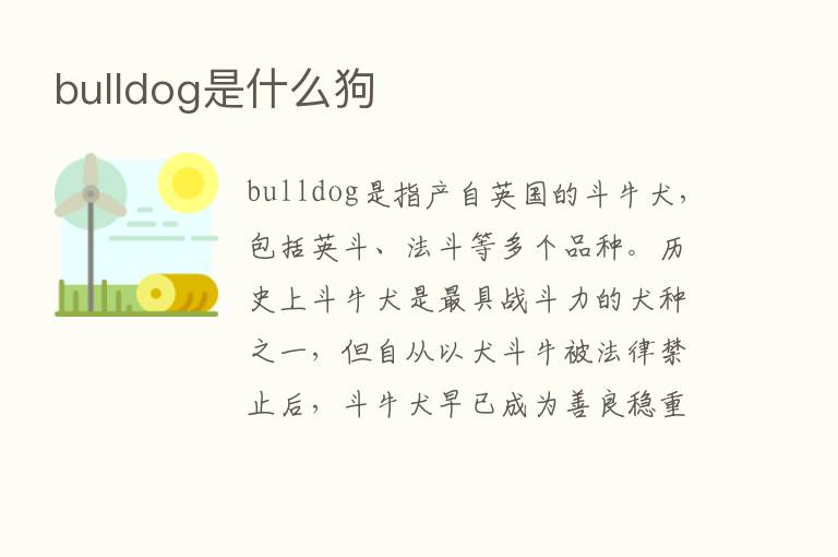 bulldog是什么狗