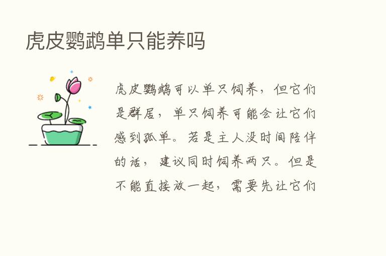 虎皮鹦鹉单只能养吗