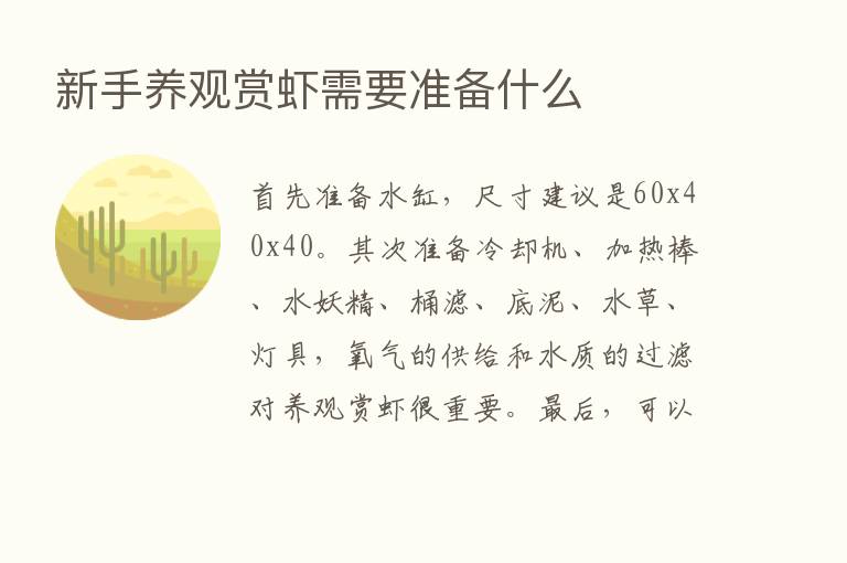 新手养观赏虾需要准备什么