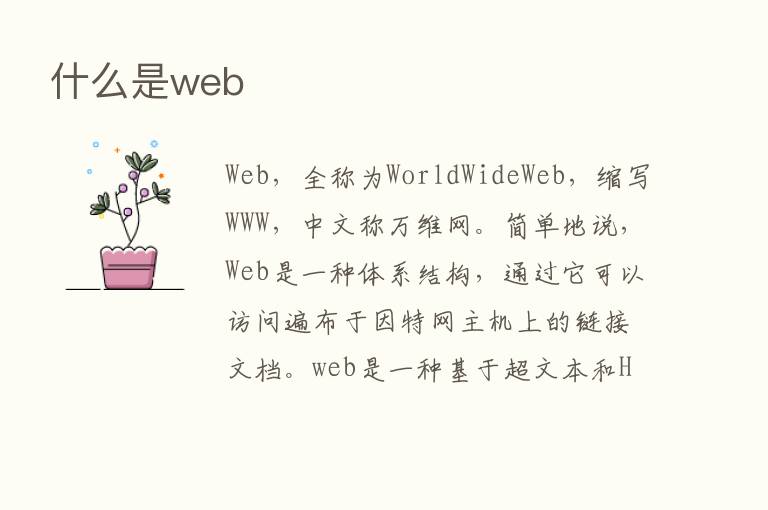 什么是web