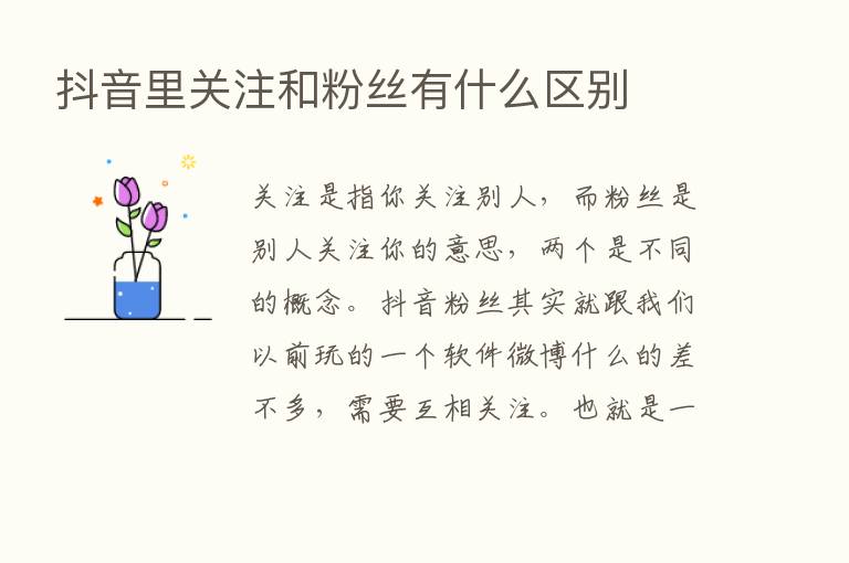 抖音里关注和粉丝有什么区别