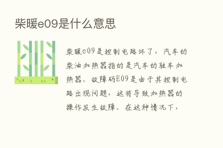 柴暖e09是什么意思