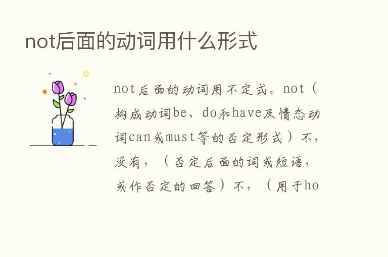 not后面的动词用什么形式