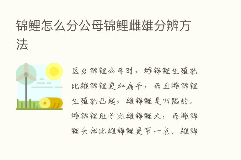 锦鲤怎么分公母锦鲤雌雄分辨方法