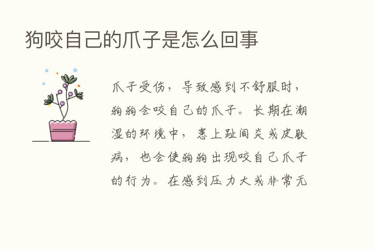 狗咬自己的爪子是怎么回事