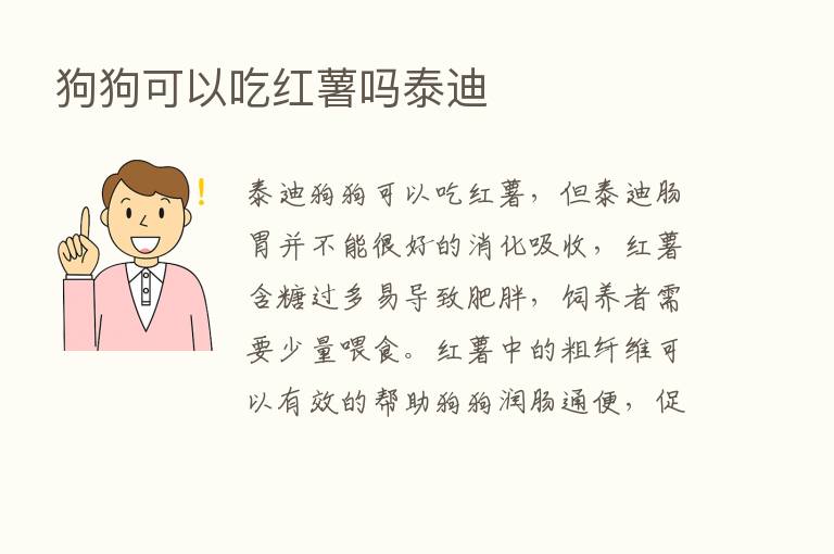 狗狗可以吃红薯吗泰迪