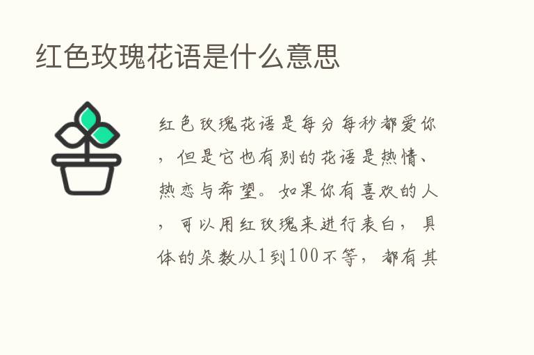 红色玫瑰花语是什么意思