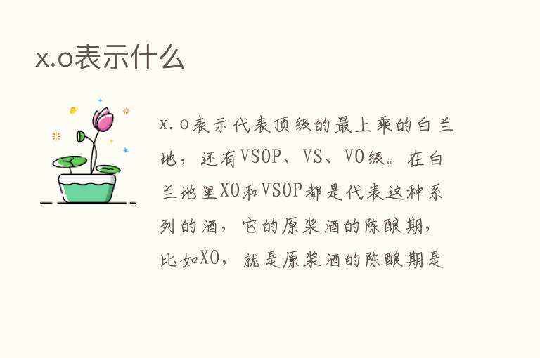 x.o表示什么