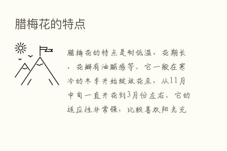腊梅花的特点