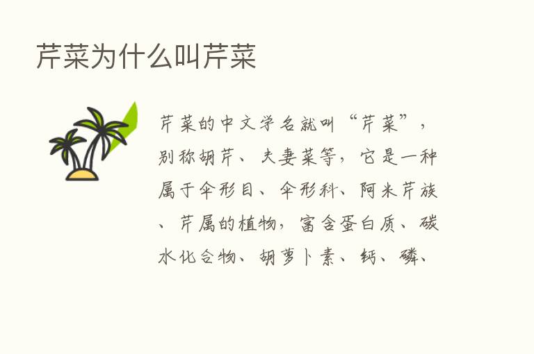 芹菜为什么叫芹菜