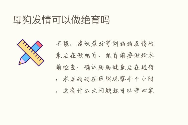 母狗发情可以做绝育吗