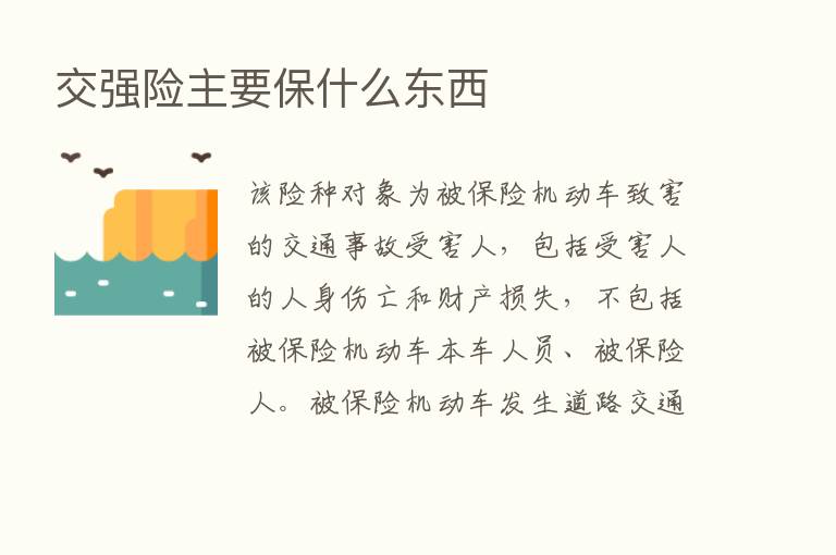 交强险主要保什么东西