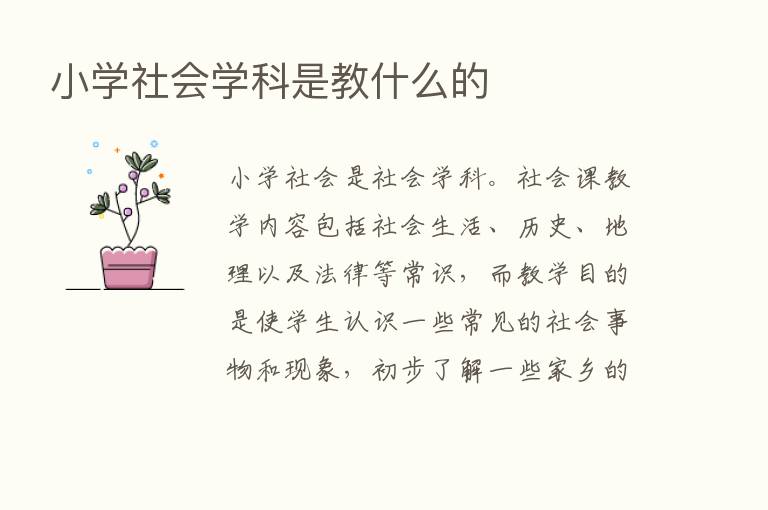 小学社会学科是教什么的