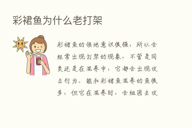 彩裙鱼为什么老打架