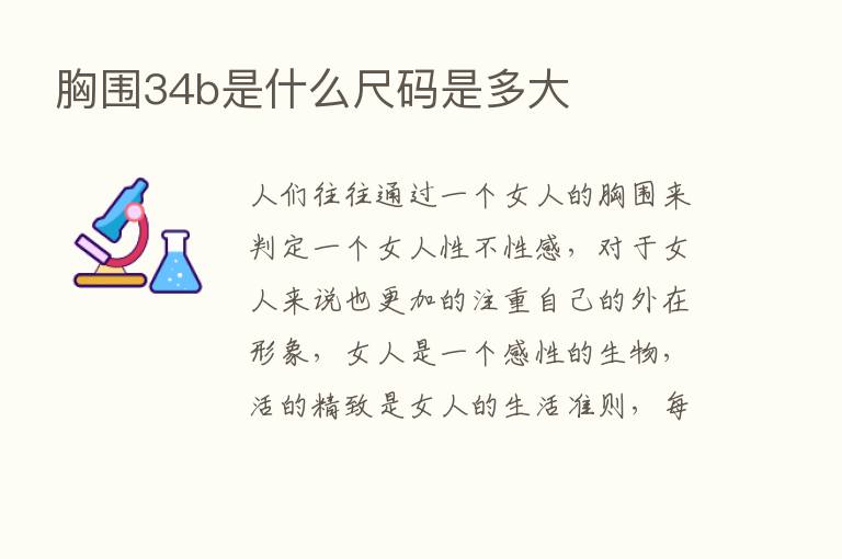 胸围34b是什么尺码是多大