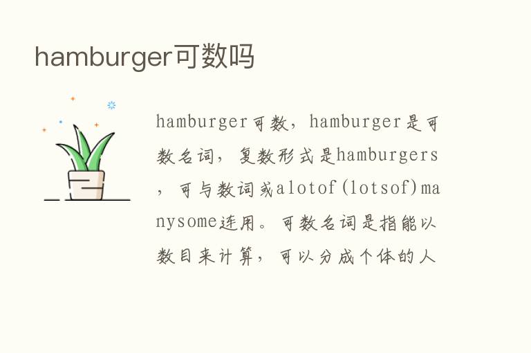 hamburger可数吗